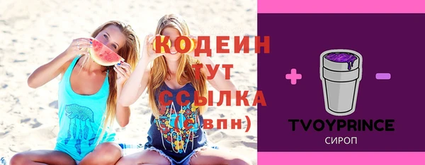 mdpv Бородино
