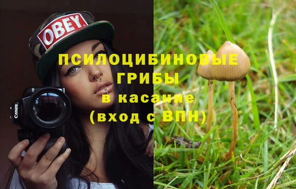 Альфа ПВП Бугульма